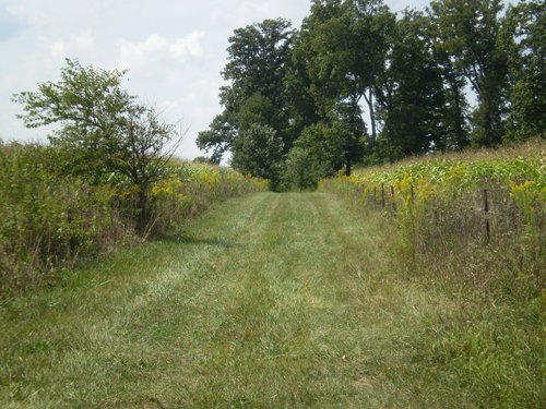 Property photo 13 - 40 Acres in 4 Tracts - Great Location!